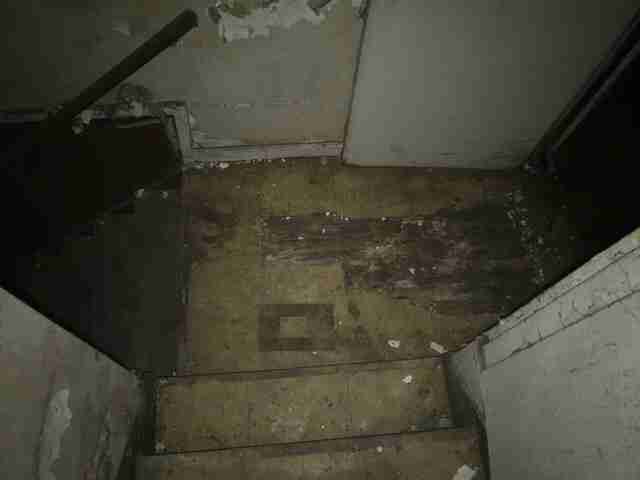 29124176_1572119694177 (1).jpg